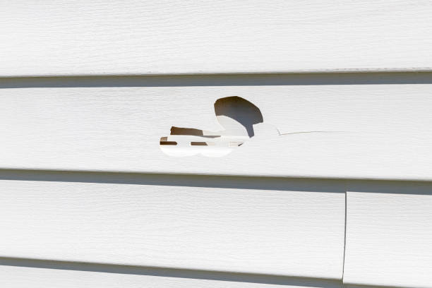 Best Custom Trim and Detailing for Siding  in Friend, NE